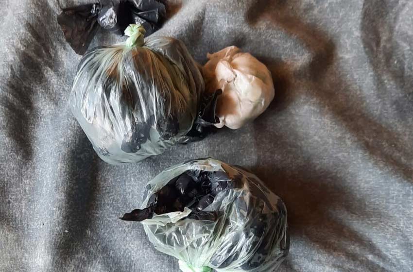 Rosario: un nene de 12 años llevaba 14 gramos de cocaína y 10 de marihuana | Noticias