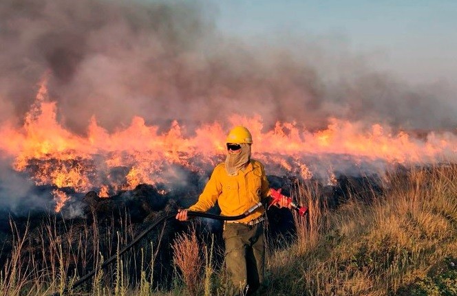 Incendios en Corrientes: hay más de 500 mil hectáreas afectadas y evacuan viviendas | Nacionales