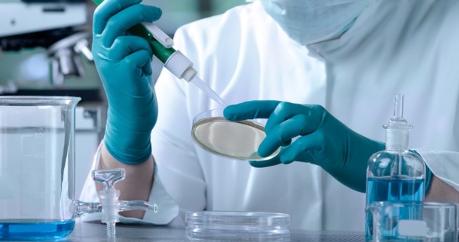 Expectativa por la primera vacuna argentina anticovid: estaría antes de fin de año | Noticias