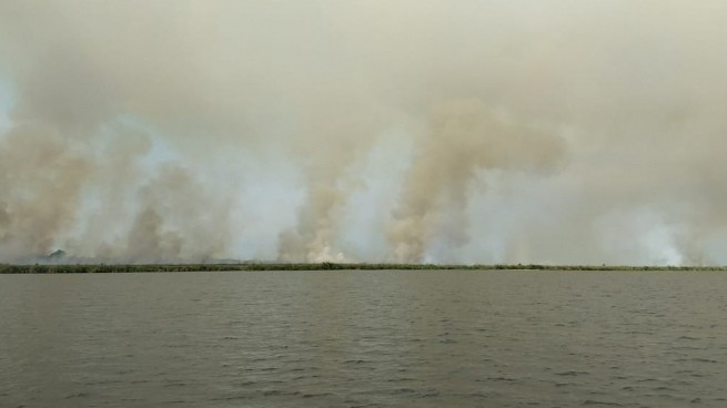 Los incendios en Corrientes alcanzaron el ingreso a los Esteros del Iberá | Nacionales