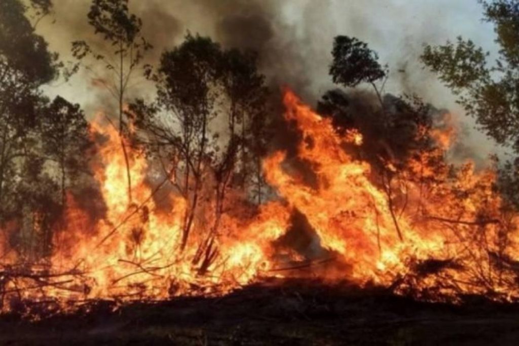Mauricio Macri apuntó contra el Gobierno por los incendios en Corrientes: "Nunca respondieron" | Nacionales
