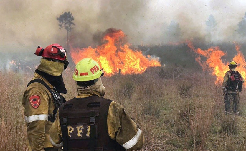 Drama en Corrientes: investigan 75 denuncias por incendios intencionales | Nacionales