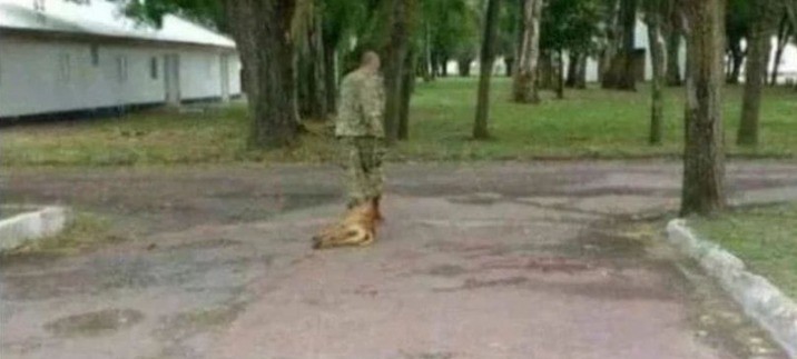 Denuncian que un militar ahorcó a un perro hasta matarlo | Nacionales