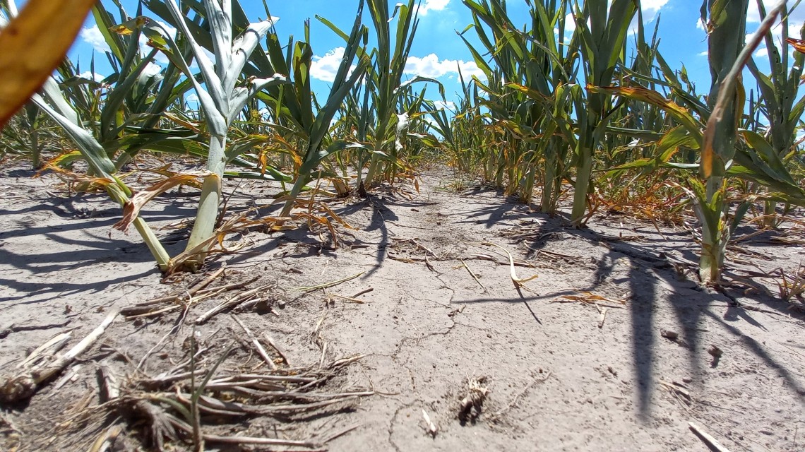 Implementan una línea de financiamiento para productores afectados por la sequía | Información General