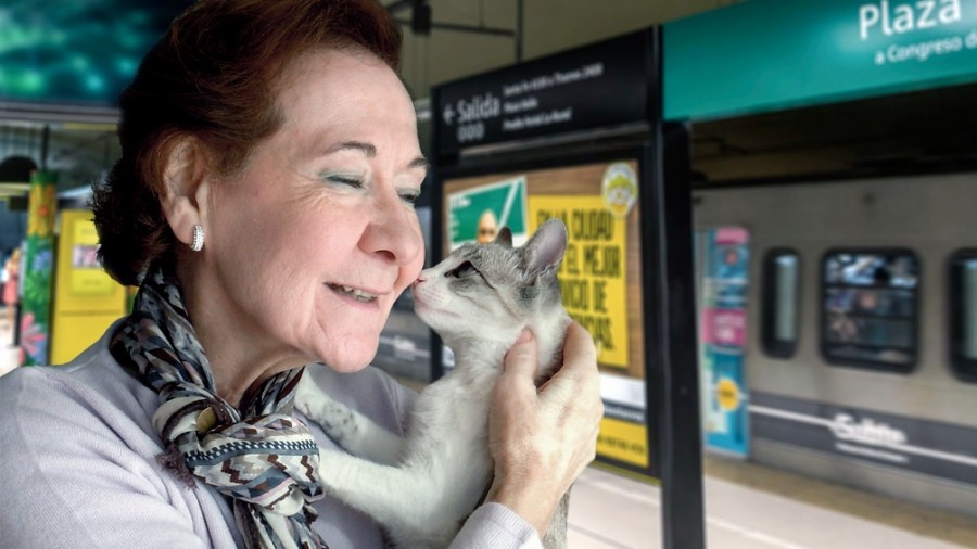 Los animales domésticos reducen el deterioro cognitivo de los adultos mayores | Información General