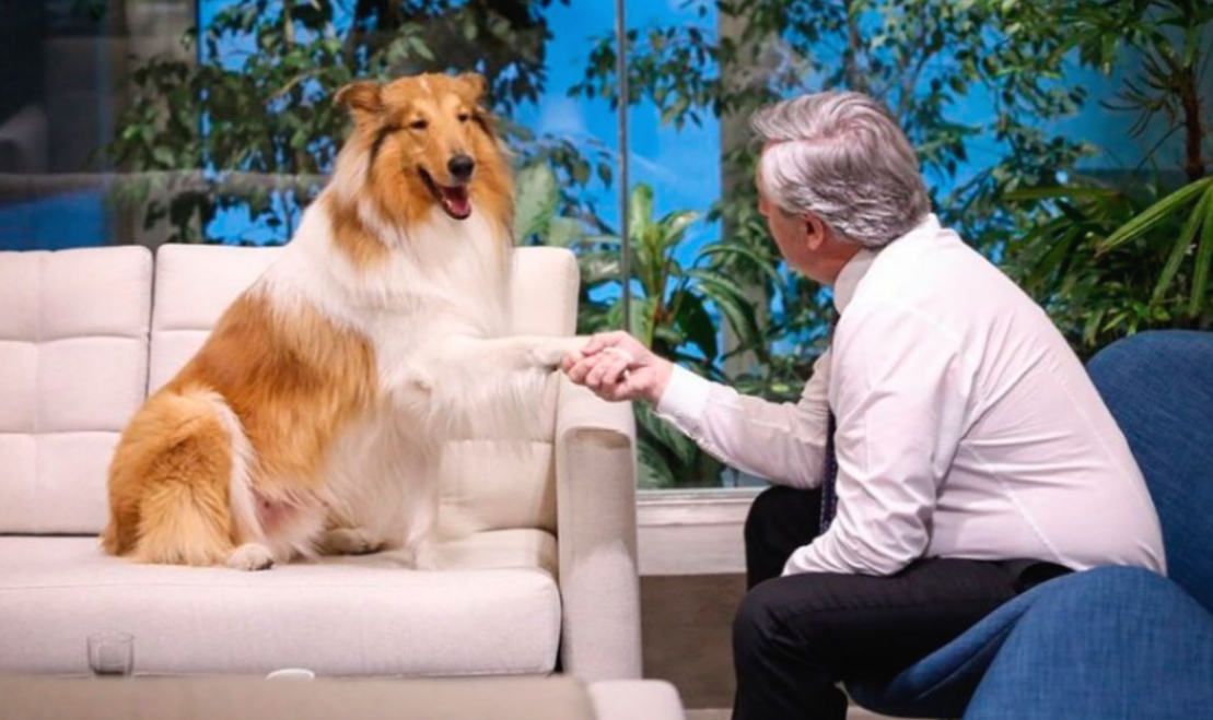 "Yo busqué al mejor y es él”: Aníbal Fernández sobre el adiestrador de Dylan en el Ministerio de Seguridad | Nacionales