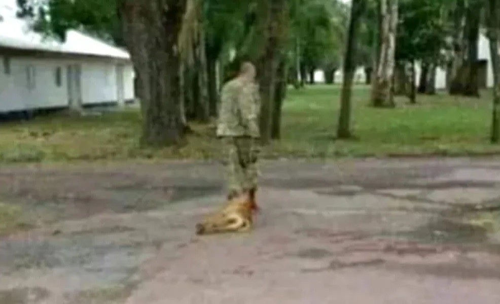 Hallaron muerto en un parque al militar acusado de matar a un perro | Nacionales