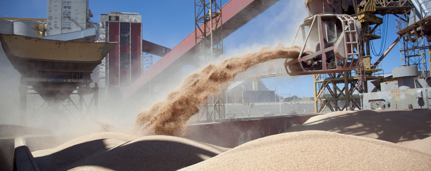 Perotti: “Cerrar exportaciones de harina y aceite de soja frenará el ingreso de divisas” | Noticias