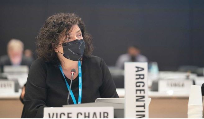 Vizzotti confirmó que hay más de un virus respiratorio en circulación e insistió en el uso del tapabocas | Nacionales