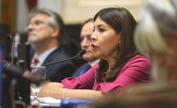 La "Espada de Domacle": el furcio de una senadora del Frente de Todos que se hizo viral | Redes