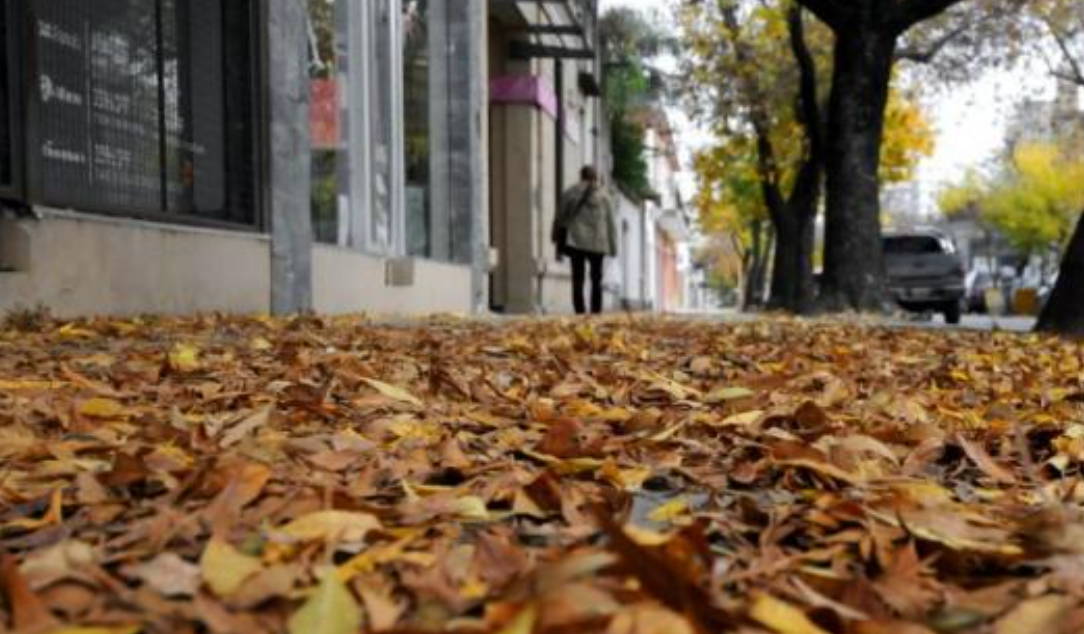 Arranca el otoño con cielo nublado, fresco e inestable en la ciudad | Información General