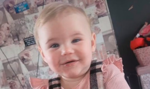 Adoptaron un perro y a la semana mató a su bebé de un año | Información General