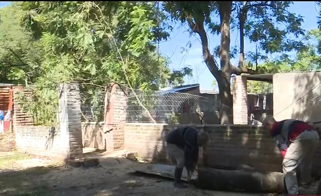 El refugio de animales fue atacado por el temporal y solicita ayuda | Juntos y solidarios