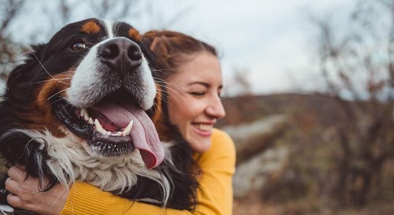 El pedido de una veterinaria que se hizo viral: "No dejes que tu perro se muera solo" | Redes