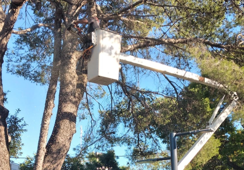 Los trabajos de bacheo, fumgación e iluminación previstos para este 7 de abril | Información General