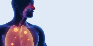 Fibrosis quística: Desarrollan medicamentos inhalables con antibióticos | Información General