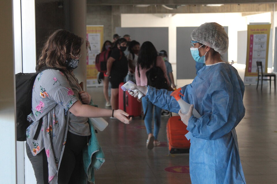 Coronavirus en Argentina: se registraron 428 nuevos casos este domingo | Nacionales