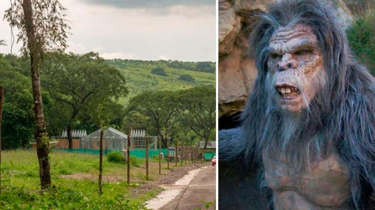 Salta: aseguran haber visto un "ucumar", un animal mítico del norte argentino | Noticias