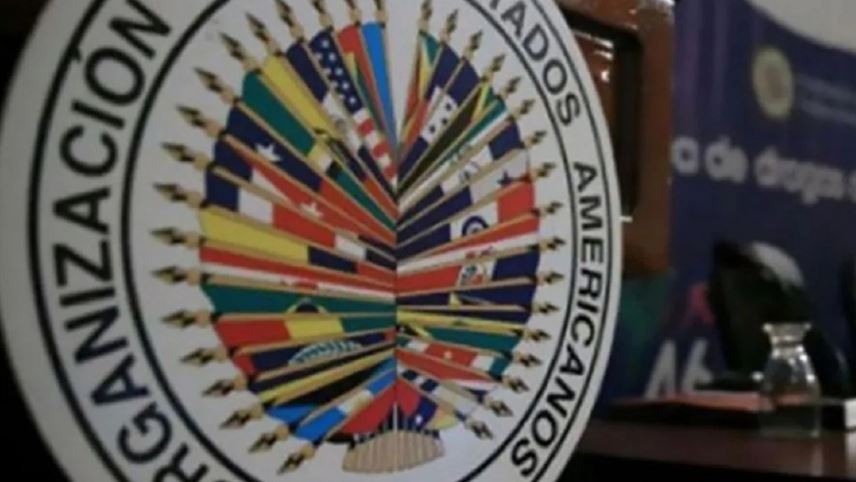 La OEA suspendió a Rusia como observador permanente y la Argentina se abstuvo | Noticias