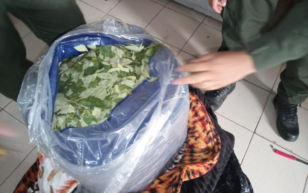 Descubrieron 244 kilos de hojas de coca en una encomienda que viajaba por Ruta 34 | Noticias
