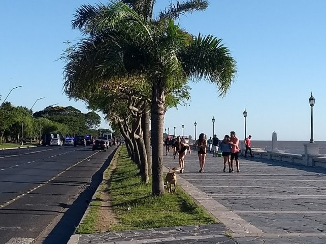 Domingo con un cielo despejado y temperaturas moderadas | Información General