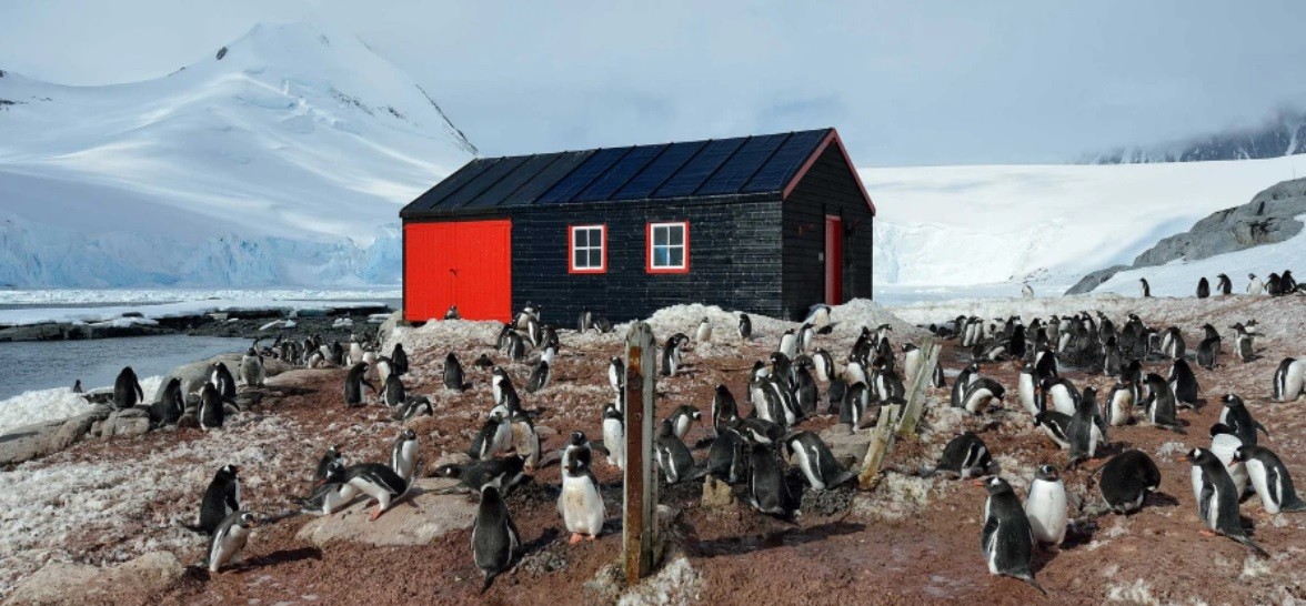 Búsqueda laboral en la Antártida: hasta US$ 2300 mensuales para ayudar a contar pingüinos | Nacionales