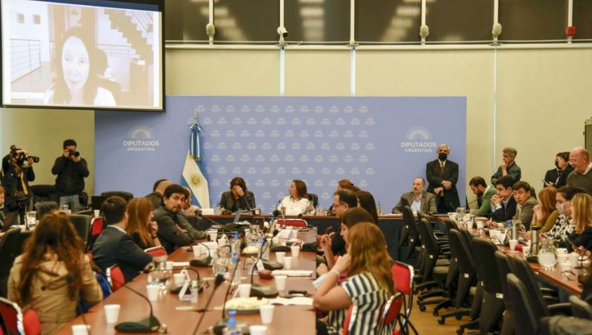 Ley de Alquileres: Diputados cerró la ronda de expositores y buscará dictamen la próxima semana | Legislativas
