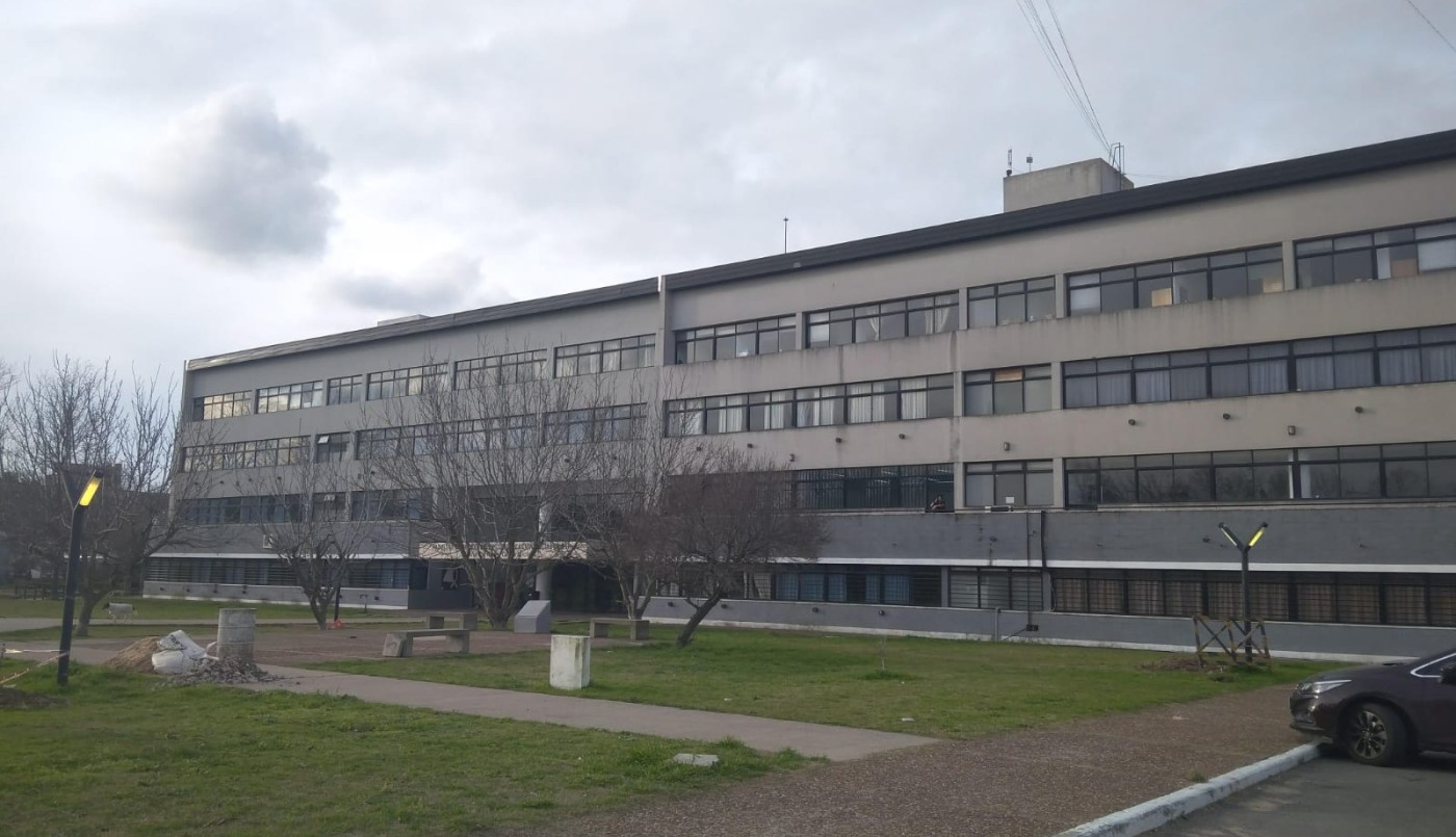 Universidad de La Plata otorgará el primer título "no binarie" | Igualdad y Género