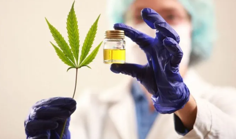 La Defensoría del Pueblo a favor del uso medicinal del cannabis | Noticias