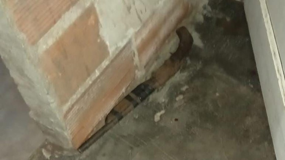 Mar del Plata: detuvieron a un hombre que hirió con una escopeta a su pareja y a su hijo de 6 años | Igualdad y Género