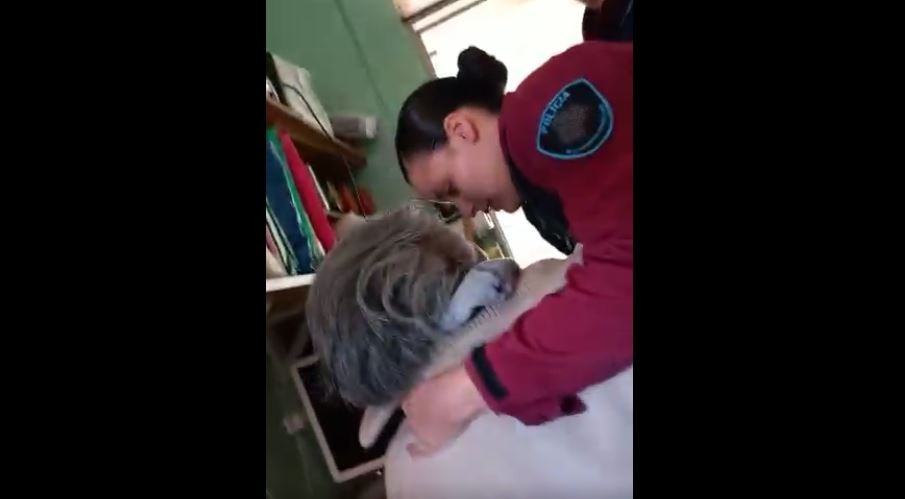 Policías salvaron a una mujer de 77 años de suicidarse | Nacionales