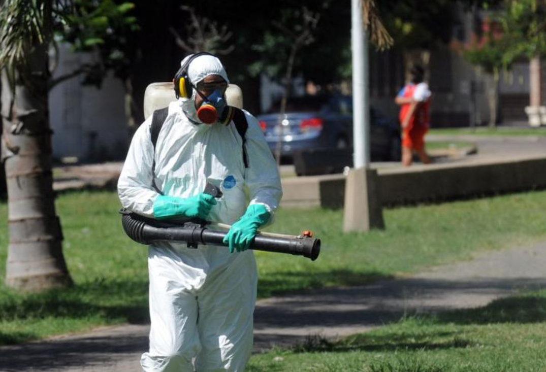 Invasión de mosquitos: Hoy se fumigará en la zona de la Costanera Oeste | Información General