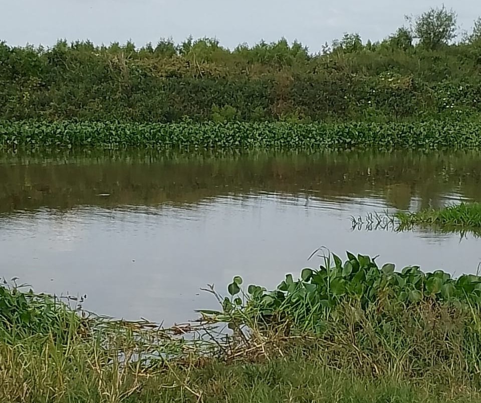Paraje La Costa: Una pareja fue rescatada de un auto sumergido en el río | Policiales