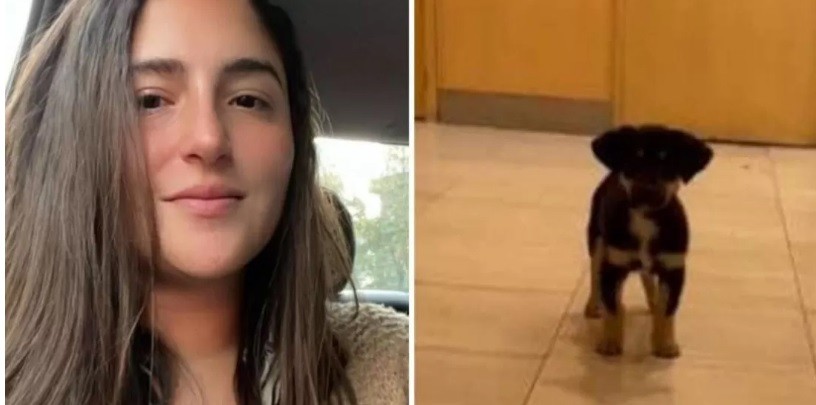 Le robó el perro a un indigente para rescatarlo y la escracharon en redes | Nacionales