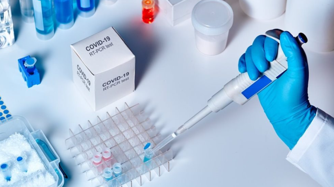 Conicet: Argentina atraviesa "una ola significativa" de coronavirus | Noticias