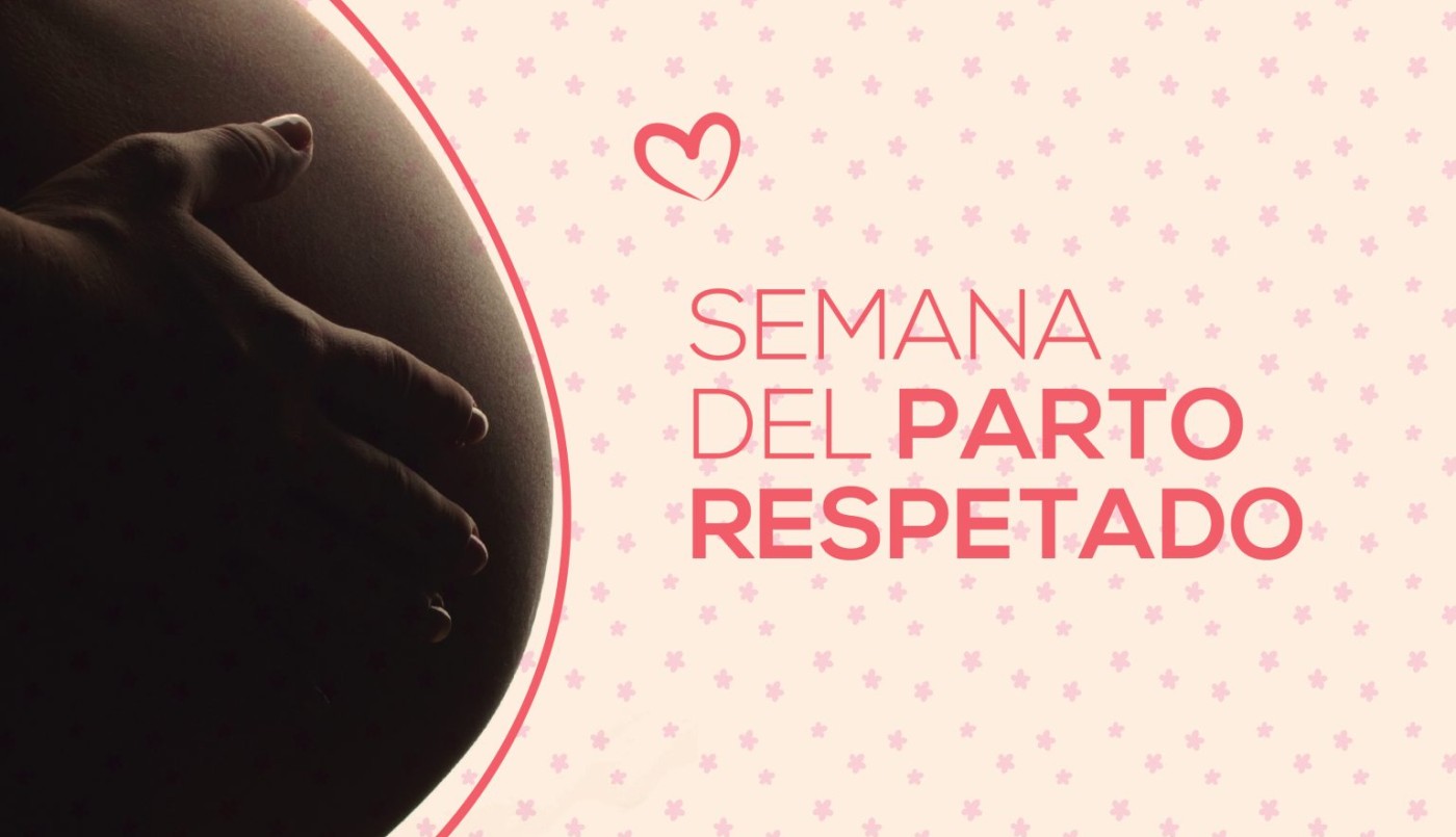 En el Concejo Municipal se hará un panel sobre parto respetado | Legislativas