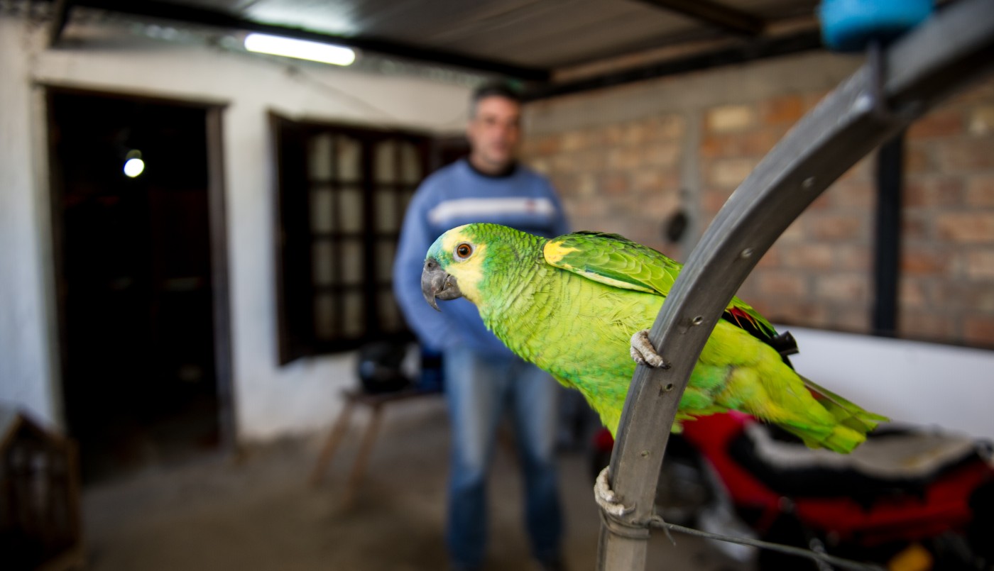 El loro Lorenzo recibió al censista al ritmo de "¡Perón, Perón, qué grande sos!" | Nacionales