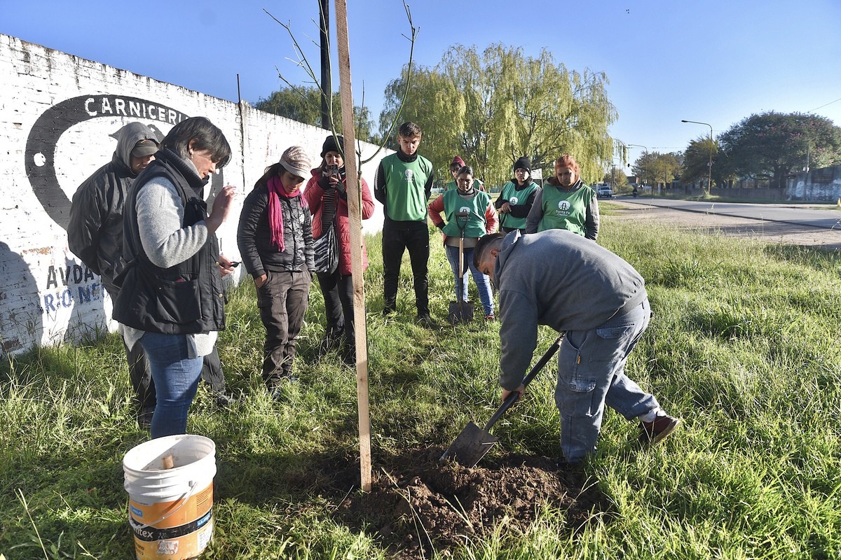 El nuevo Plan de Arbolado incluye el compromiso y la colaboración de los vecinos | Información General