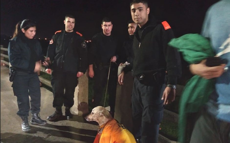 Rescataron a un perro que había caído a las aguas del Río Salado | Noticias