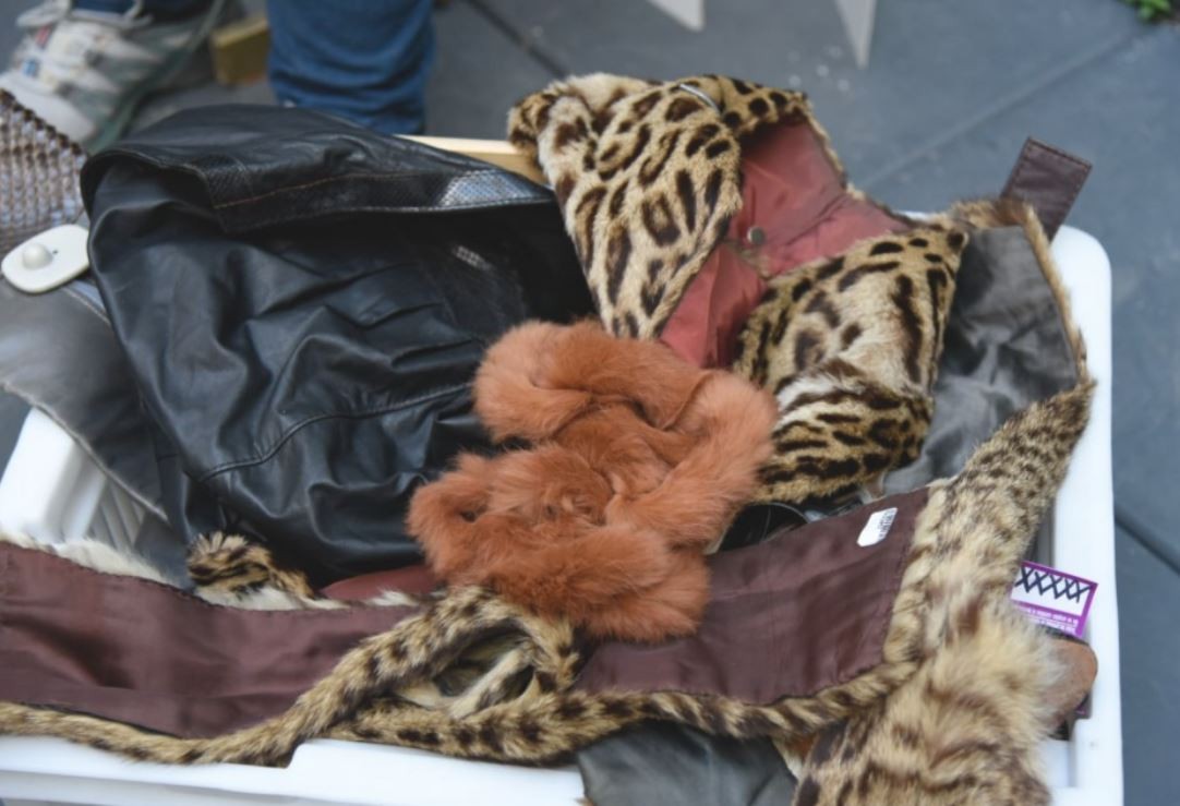Secuestraron indumentaria realizada con cuero de animales en peligro de extinción | Nacionales