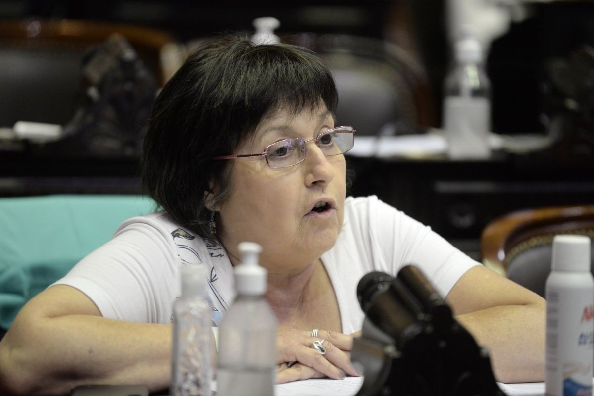 Gasoducto Néstor Kirchner: la oposición también presentó denuncia por irregularidades | Nacionales