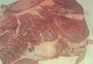 Compró carne, tenía una bala y preguntó si podía comerla | Nacionales