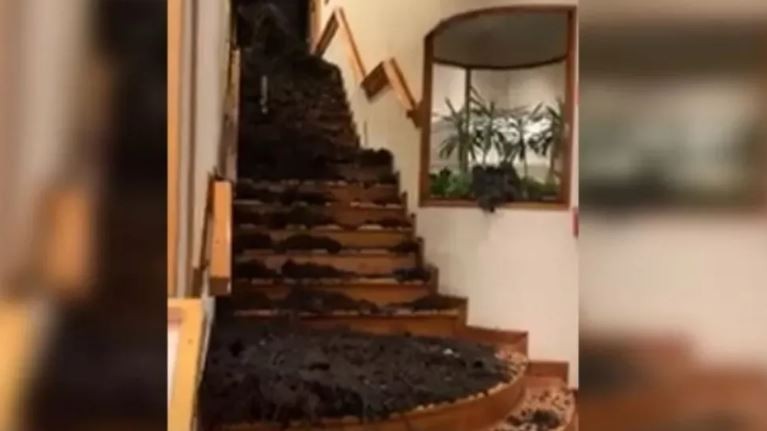 Alud de barro en un hotel de Bariloche: murió un turista y hay tres heridos | Nacionales