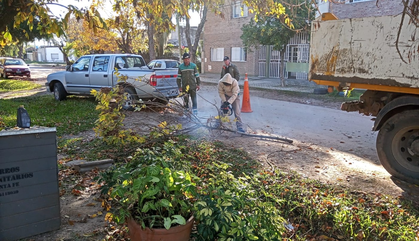 Los trabajos de arbolado, bacheo e iluminación previstos para hoy | Información General