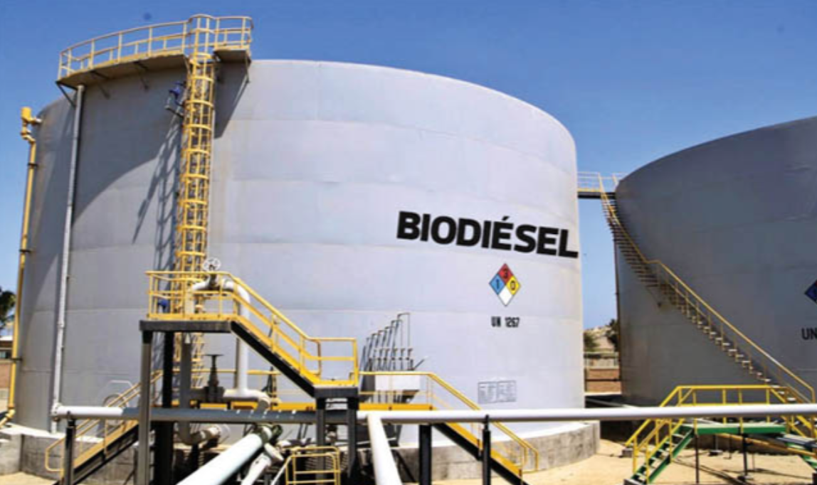 Escasez de gasoil: El gobierno nacional aumentará el corte de biodiesel | Noticias