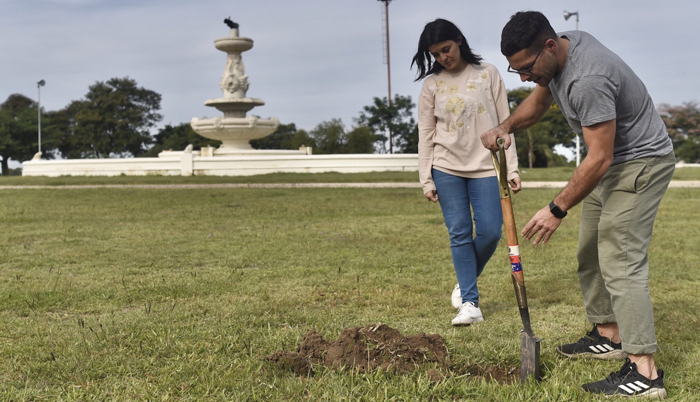 Los trabajos de arbolado, bacheo e iluminación previstos para este 16 de junio | Información General
