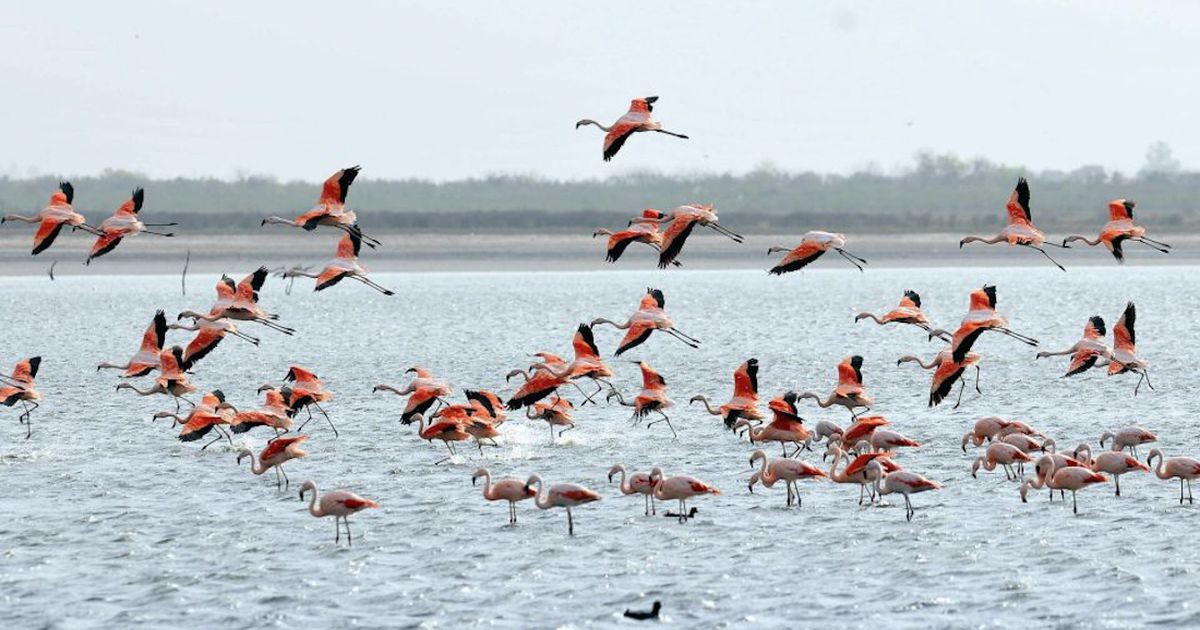 Diputados aprueba la creación de Parques Nacionales en Río Negro, Entre Ríos y Córdoba | Legislativas