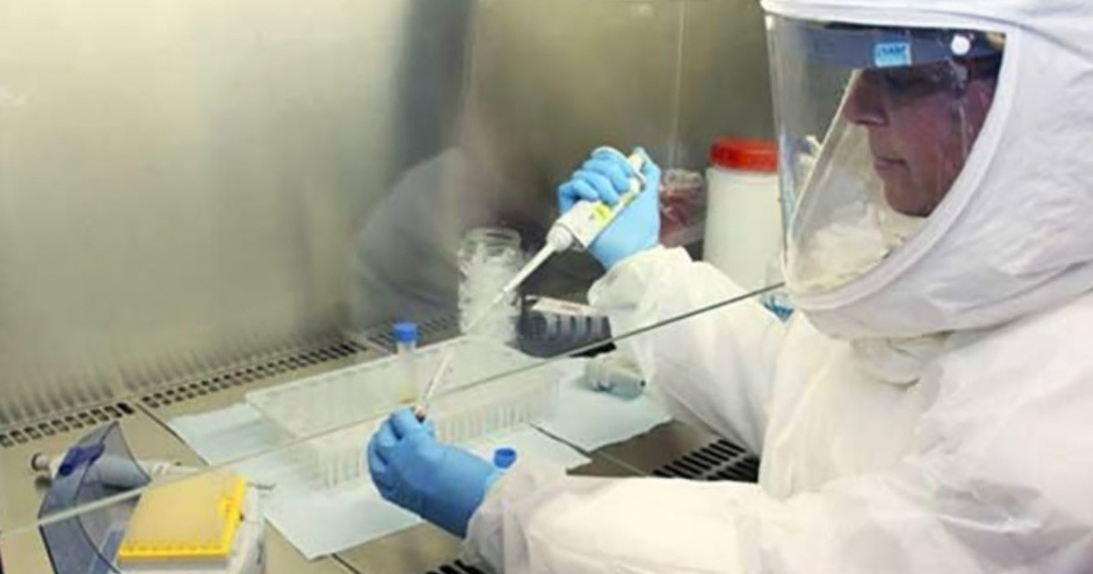 Evalúan nuevo caso sospechoso de viruela del mono en Mendoza | Nacionales