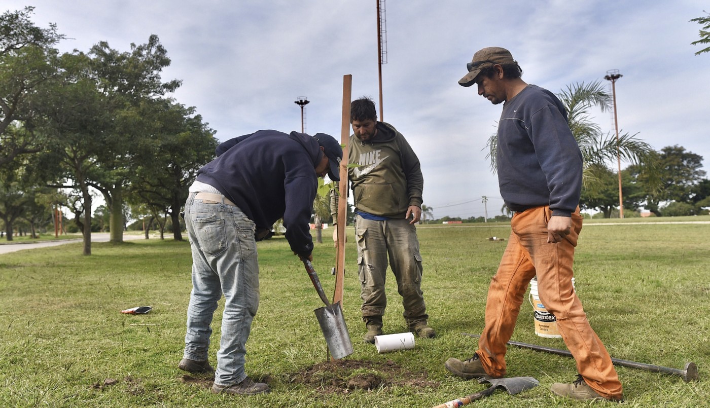 Los trabajos de bacheo, iluminación y arbolado previstos para este 1 de julio | Información General