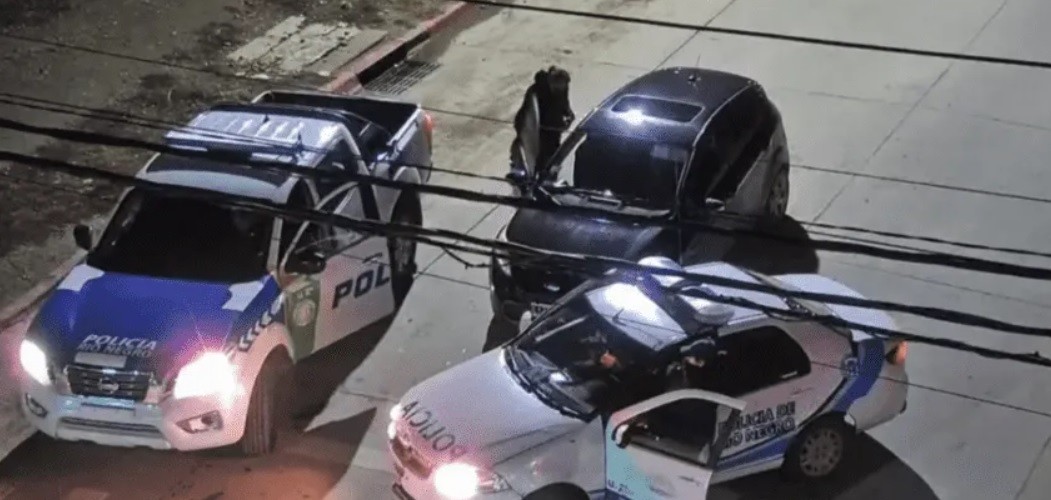 Vio a su ex caminando con otra, los atropelló y huyó | Nacionales